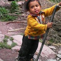 Aurangzeb Jee
