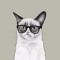 Grumpy Cat