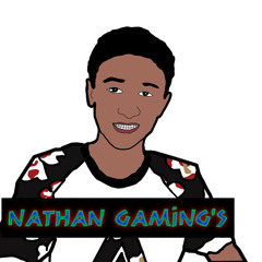 Nathan Gaming