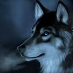 User 461538152