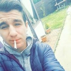 Alan Paul