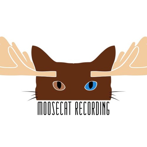 MooseCat Recording Reel’s avatar