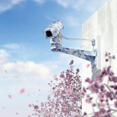 lil housedrippingucciflexproof