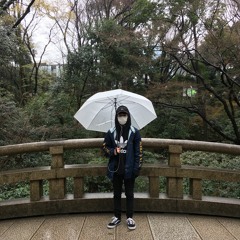 mogi