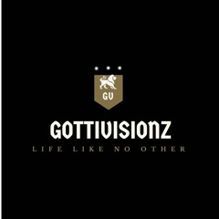 Gotti Visionz