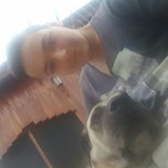 muzica