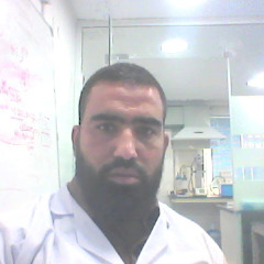 user980225488