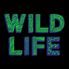 WILD LIFE FESTIVAL