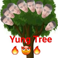 yung tree