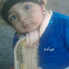 محمود احمد مرجان