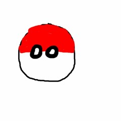 wtf is this double name thing | polandball