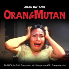 orangmutan