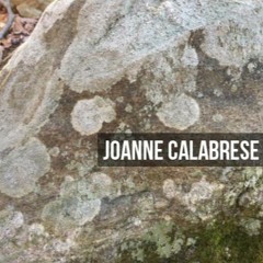 Joanne Calabrese