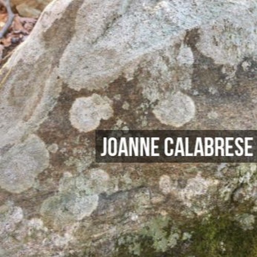 Joanne Calabrese’s avatar