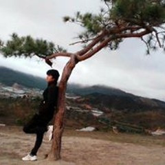 Hongquan Nguyen