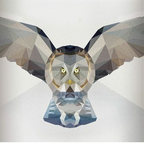 Owls’s avatar