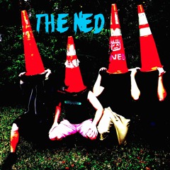 The Ned