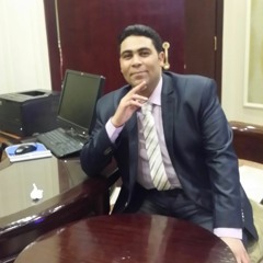 wael ali