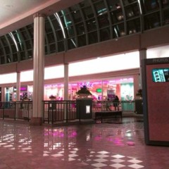 thisusernameactuallyworks