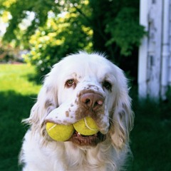 Hinzuain y Vann Basten