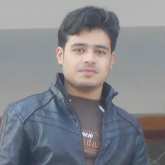 Muhammad Zulqarnain