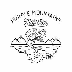 PurpleMountainsMajesties