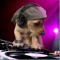 Dog Sounds