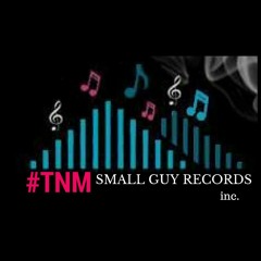 #TNM Small Guy Records Inc.