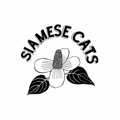 Siamese Cats シャムキャッツ