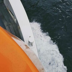 Reverser TNT Mastr 2