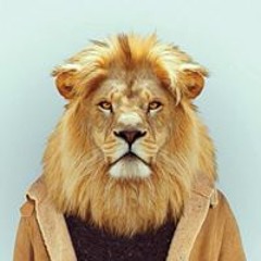 Lion Siegel