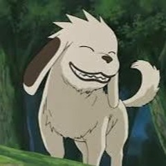 bigtigr