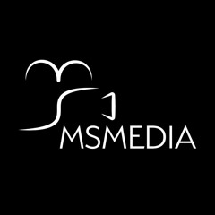 MsMedia