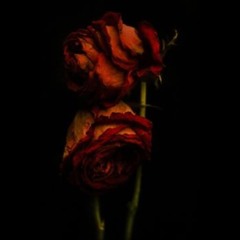 Joe Wu - AMBITION ENT