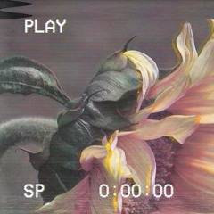 Shadowmind - 影の心