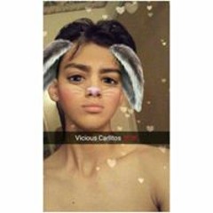 Vìcious Carlos