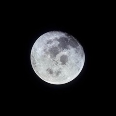 N009