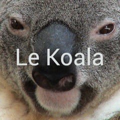 Le Koala