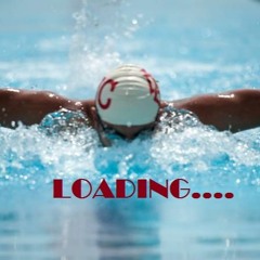 Hossam HM