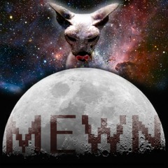 MEWN