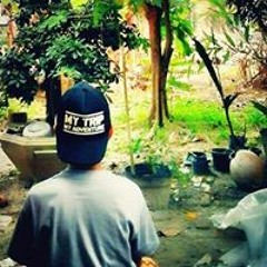 Pacul