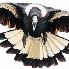 The Magpies Brighton