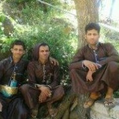 رياض محمد الشرسي