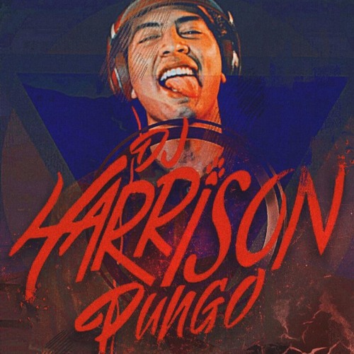 Harrison Pungo 2’s avatar