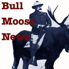 BullMoose News