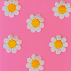 Bonnie Farris