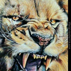 SUPREMEVISION LLC  MUSIC BAND A.T.M