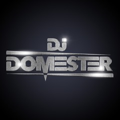 DJ DOMESTER