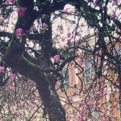 احمد الشمري