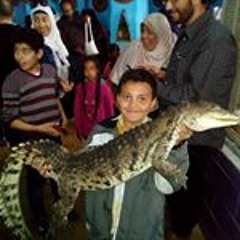 Mody Anwar Mohamed